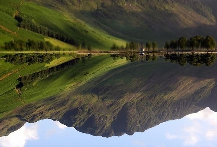 reflection in water