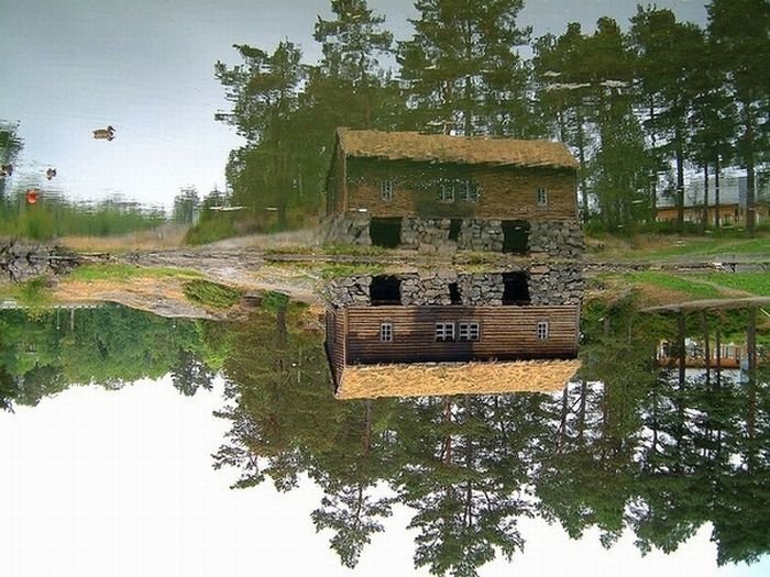 reflection in water