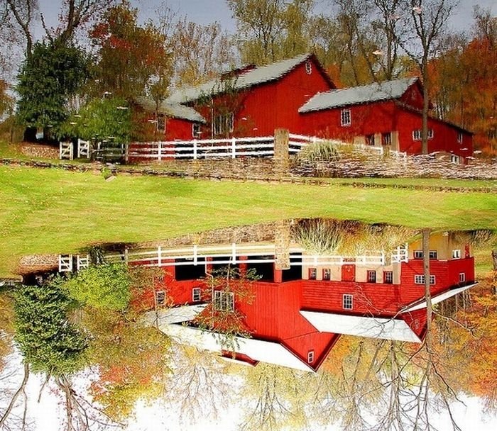 reflection in water