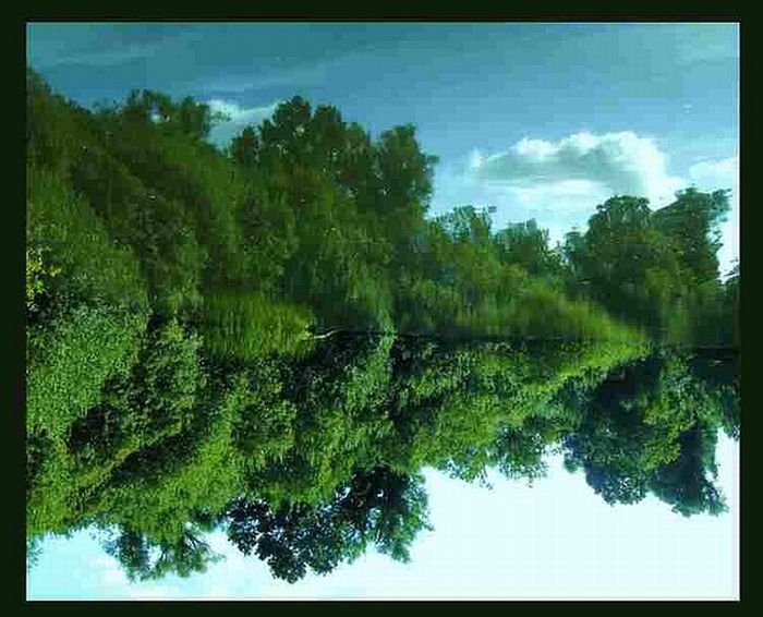 reflection in water