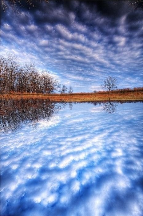 reflection in water