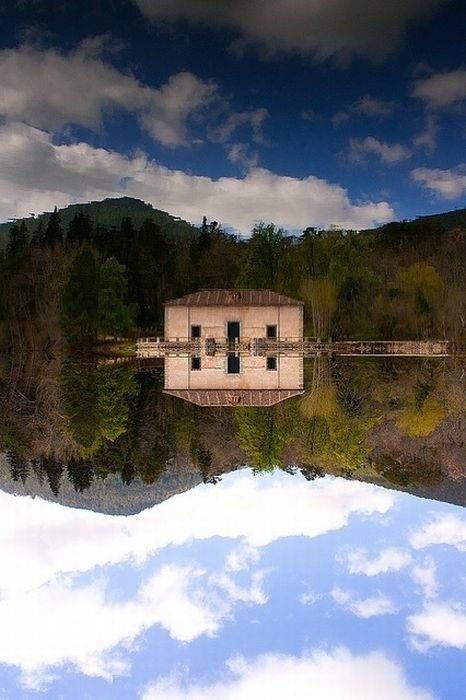 reflection in water