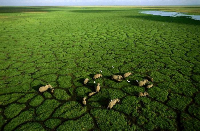 Aerial Photography of Africa by George Steinmetz