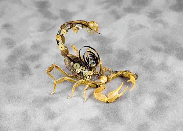 steampunk insect