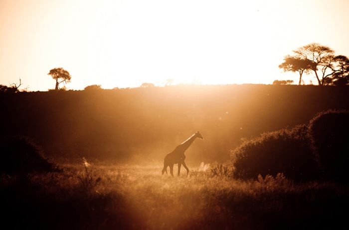 National Geographic traveler photo contest 2012