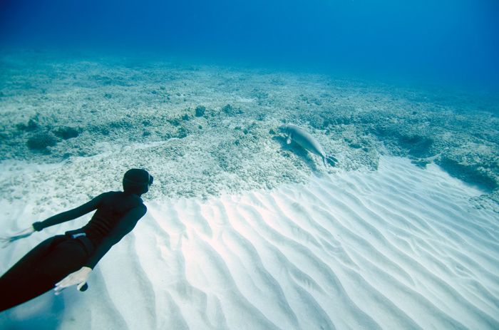 One Ocean One Breath freediving collaboration by Eusebio And Christina Saenz De Santamaria