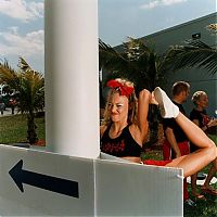 TopRq.com search results: Brian Finke photos - flight & cheerleader attendants