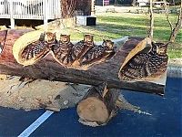 Art & Creativity: Wood sculptures made by chainsaw