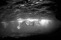 Art & Creativity: Underwater photography by Carlos Franco