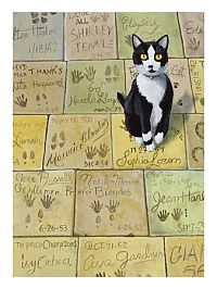 Art & Creativity: Cat drawings