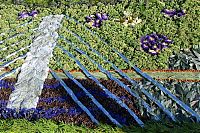 Art & Creativity: Flower carpets