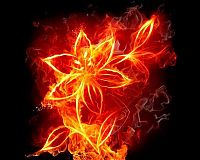 Art & Creativity: fire painting