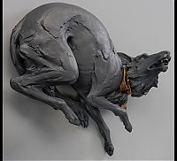 Art & Creativity: animal sculpture