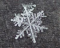 Art & Creativity: snow flakes
