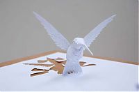 Art & Creativity: creative paper craft art