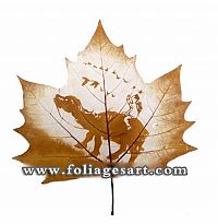 TopRq.com search results: pictures on the leaves