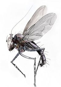 Art & Creativity: cyborg animal and insect