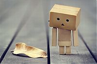 Art & Creativity: Life of Danbo