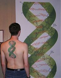 TopRq.com search results: scientific tattoo