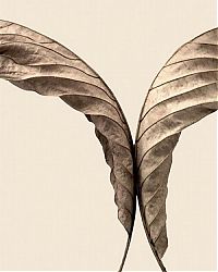 Art & Creativity: dry leaves art