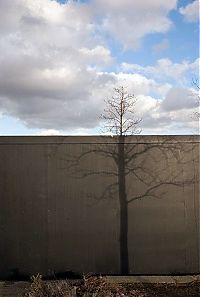 TopRq.com search results: shadows art