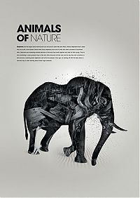 Art & Creativity: animals in art