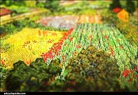 Art & Creativity: Vincent Van Gogh's painting with tilt-shift effect