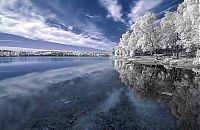 TopRq.com search results: infrared photography