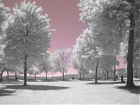 Art & Creativity: infrared photography