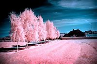 TopRq.com search results: infrared photography