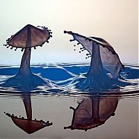 Art & Creativity: water drops high-speed photography