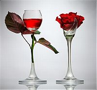 TopRq.com search results: wine glass art
