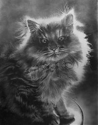 Art & Creativity: Pencil drawing by Paul Lung
