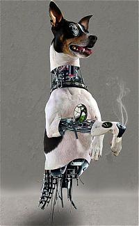 TopRq.com search results: robotic animal, digital image manipulation