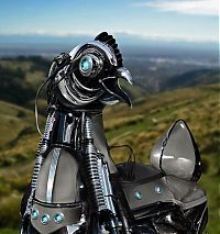 Art & Creativity: robotic animal, digital image manipulation
