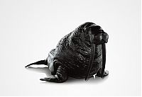 TopRq.com search results: Animal Chair collection by Maximo Riera