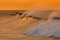 Art & Creativity: Wave and surfing photography by David Orias
