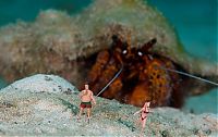 Art & Creativity: Underwater scenes with toy figures by Jason Isley