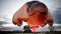 Art & Creativity: Skywhale hot-air balloon sculpture by Patricia Piccinini