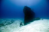 TopRq.com search results: One Ocean One Breath freediving collaboration by Eusebio And Christina Saenz De Santamaria