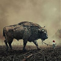 TopRq.com search results: Photo manipulation by Caras Ionut