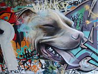 Art & Creativity: Street art graffiti by Owen Dippie