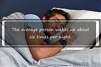 TopRq.com search results: interesting facts about sleeping