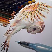 TopRq.com search results: Photorealistic drawing illustrations and tools by Karla Mialynne