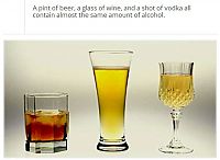 Art & Creativity: interesting facts about alcohol
