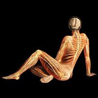 TopRq.com search results: Body Voyage: A 3D Tour of a Real Human Body by Alexander Tsiaras