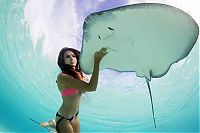 Art & Creativity: Mermaid and the stingray underwater photography by Christian Coulombe
