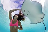 Art & Creativity: Mermaid and the stingray underwater photography by Christian Coulombe
