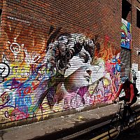 Art & Creativity: Street art graffiti by Pichi & Avo