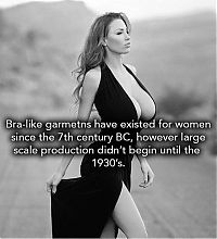 Art & Creativity: interesting facts about breasts